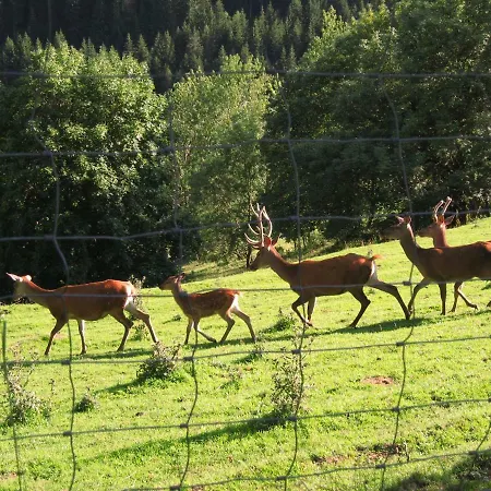 Dicktlhof Apartment *