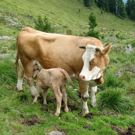 Dicktlhof * Ebene Reichenau
